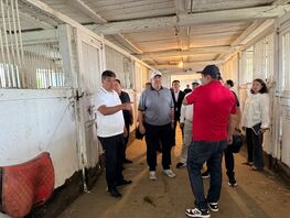 В&nbsp;Кыргызстане намерены восстановить государственные конные заводы
